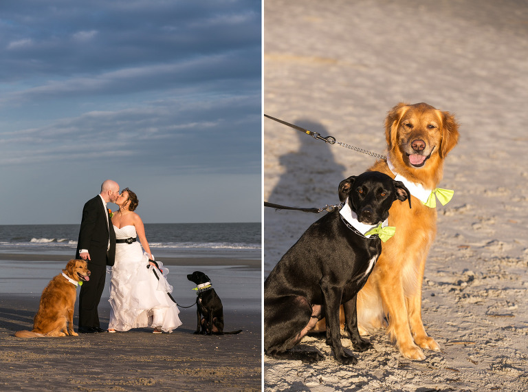 033_DallasLovePhotography