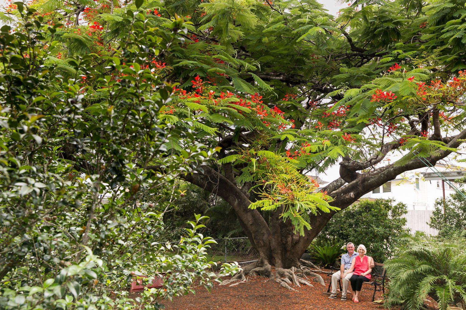 0001_DallasLovePhotography