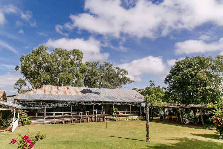 003_DallasLovePhotography