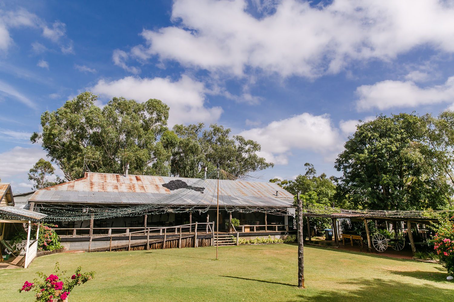 003_DallasLovePhotography