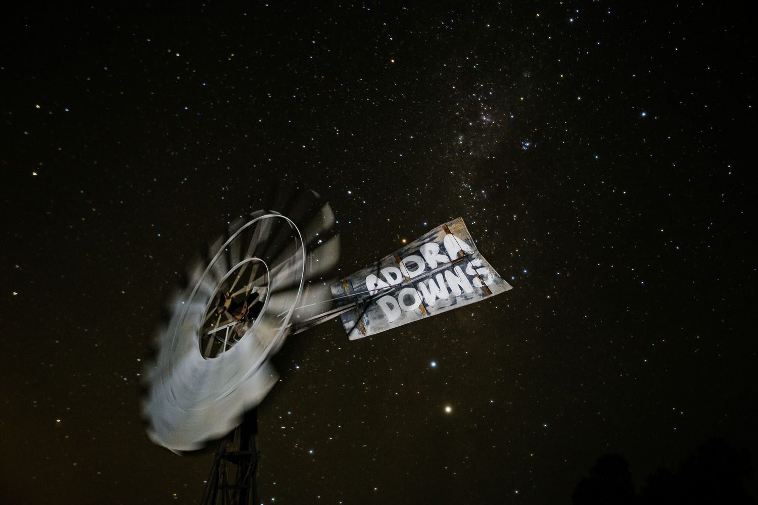 081_DallasLovePhotography