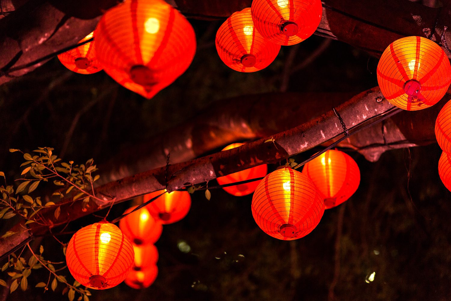 011_dallaslovephotography