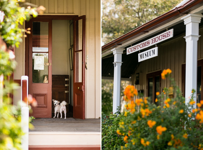 002_DallasLovePhotography