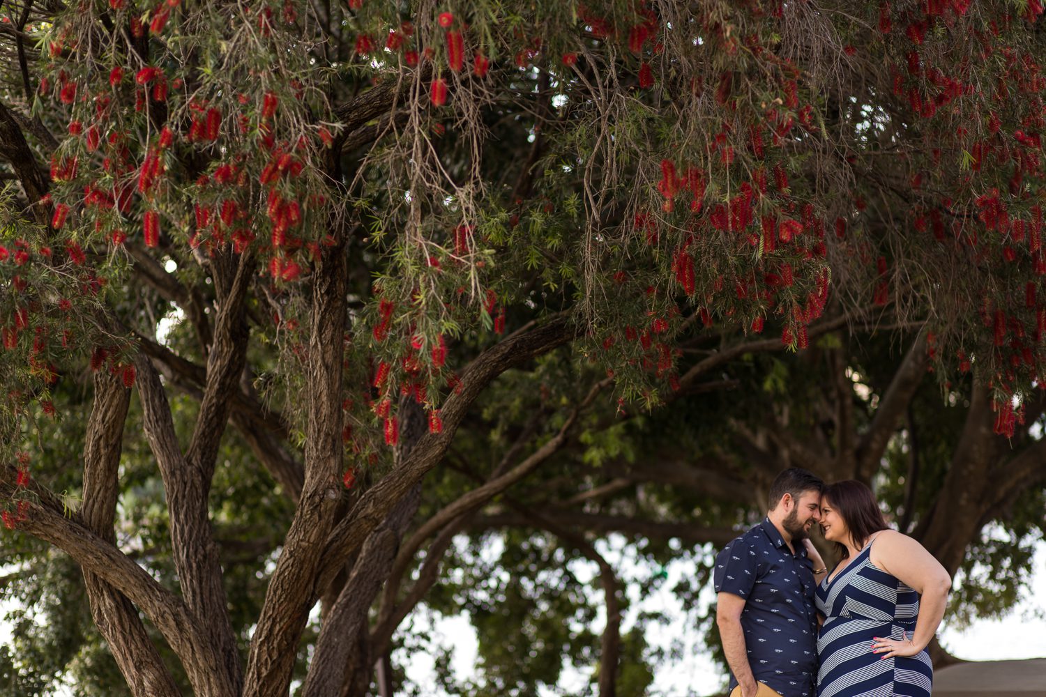 013_dallaslovephotography