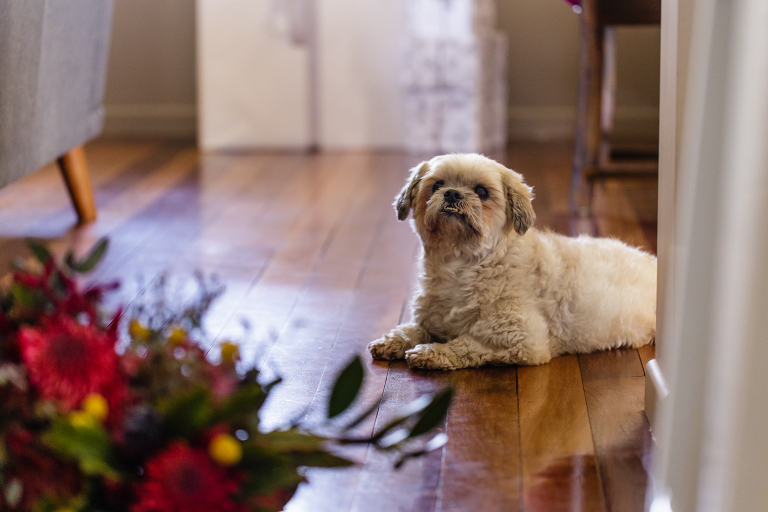 013_dallaslovephotography