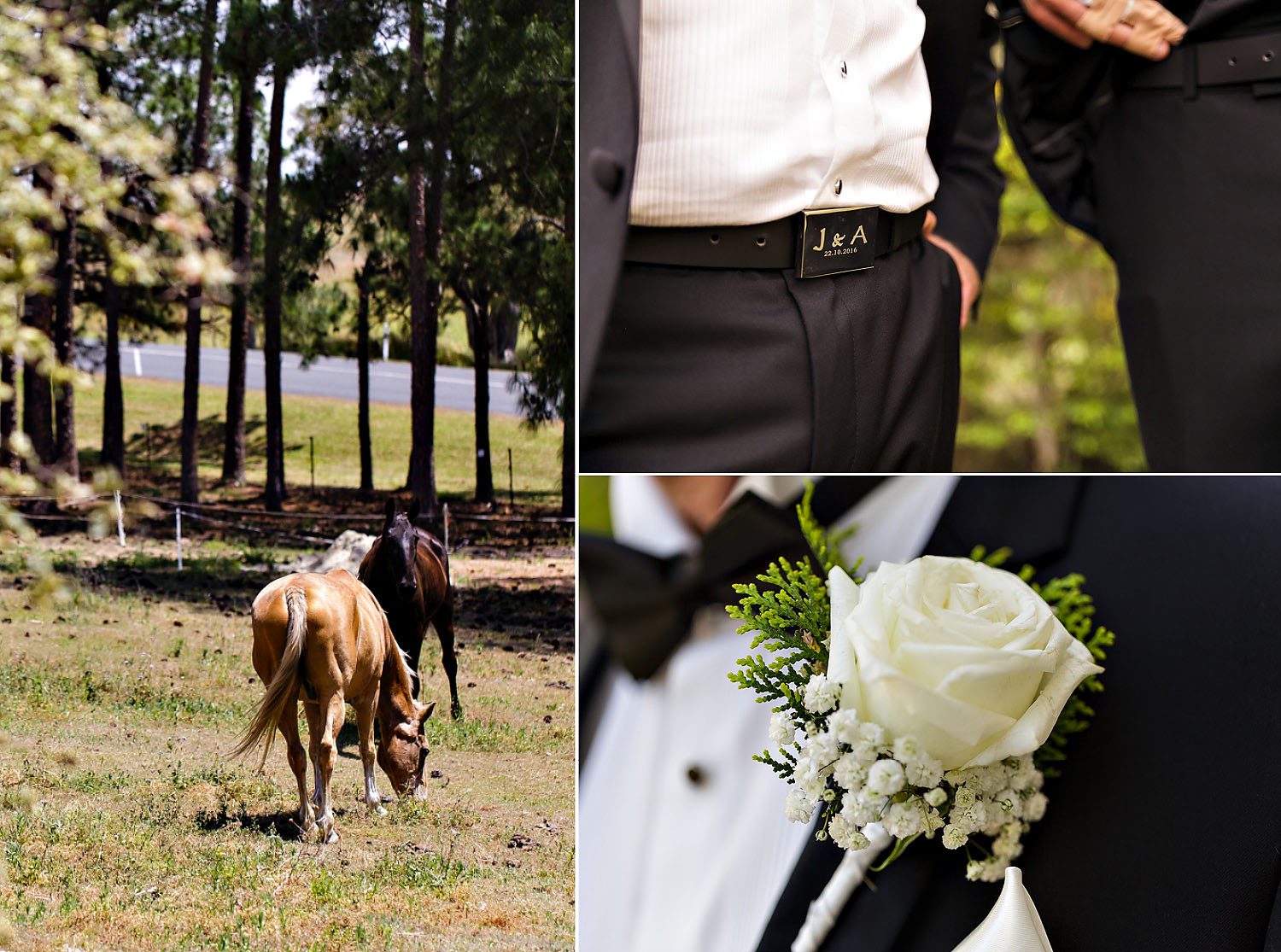 010_dallaslovephotography