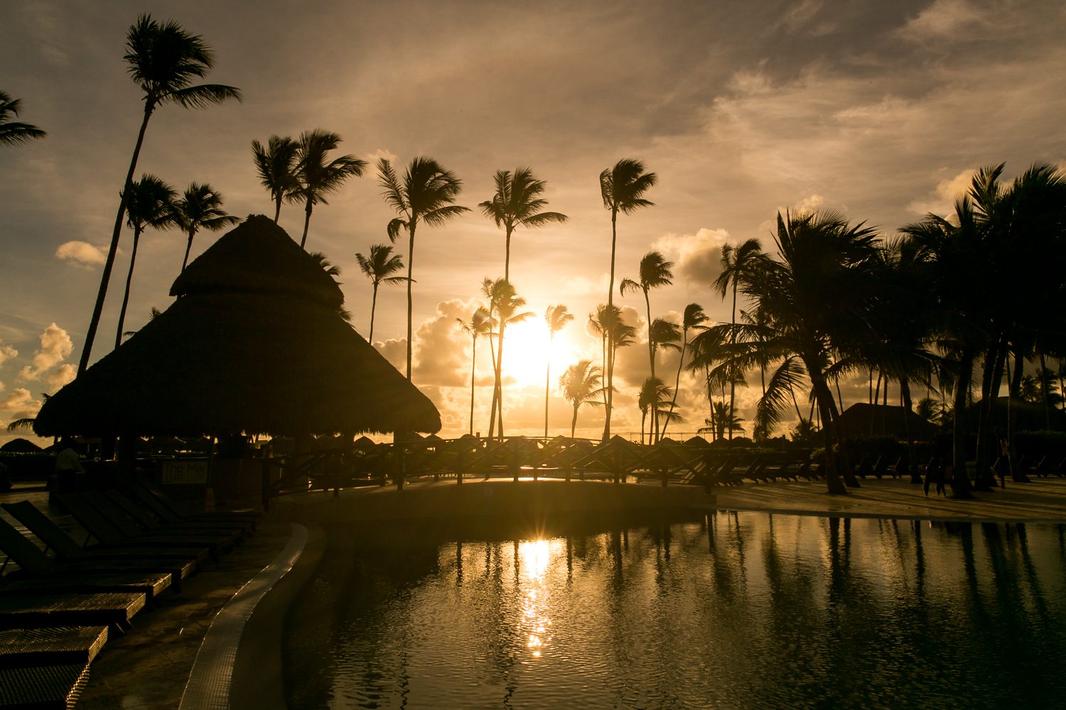 002_dallaslovephotography