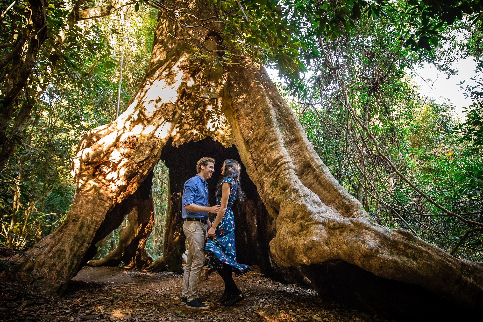 Wishing Tree Engagement At O Reilly S Danielle Jared Dallas Love Photography