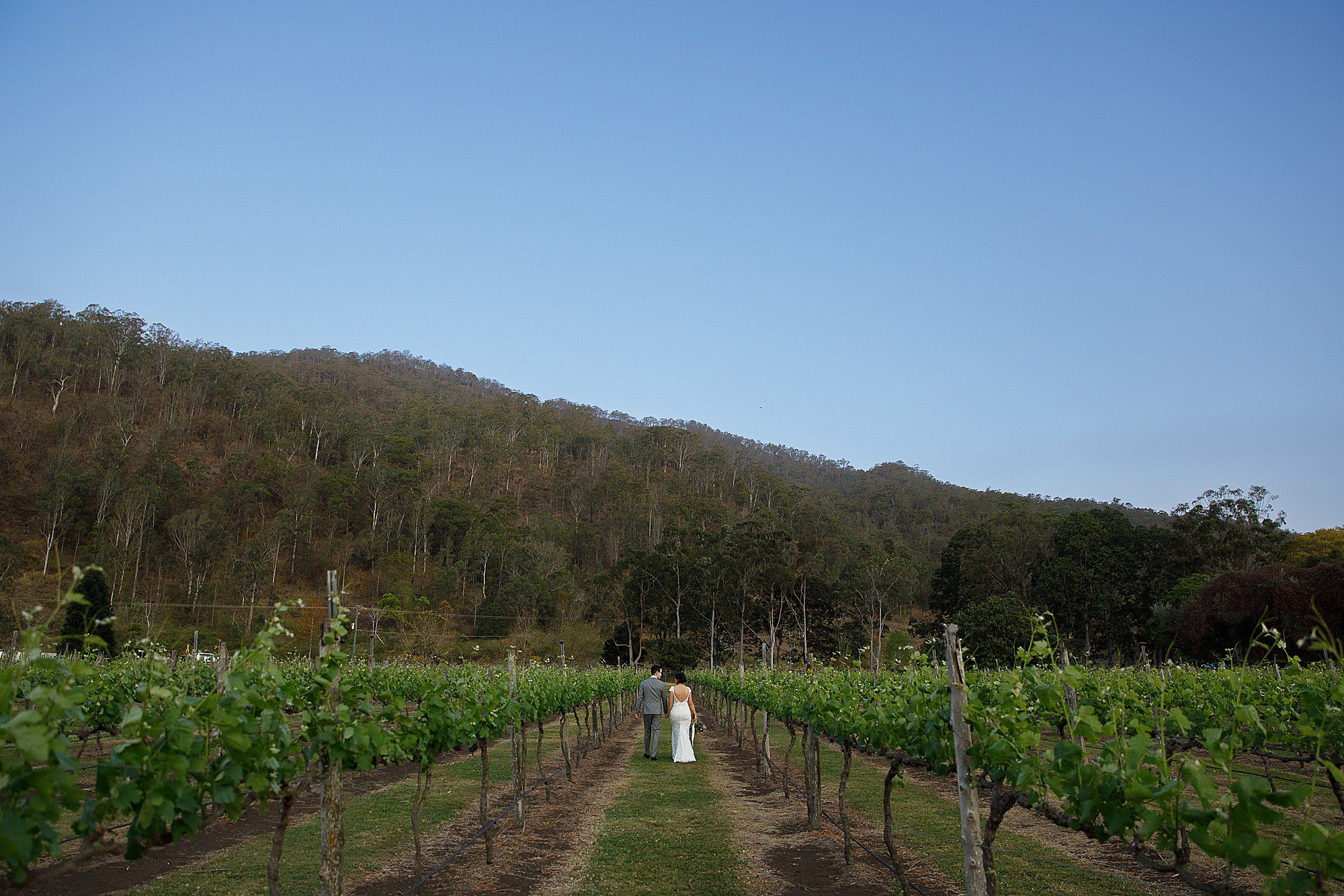 Bride & Groom walking in Canungra Valley Vineyard