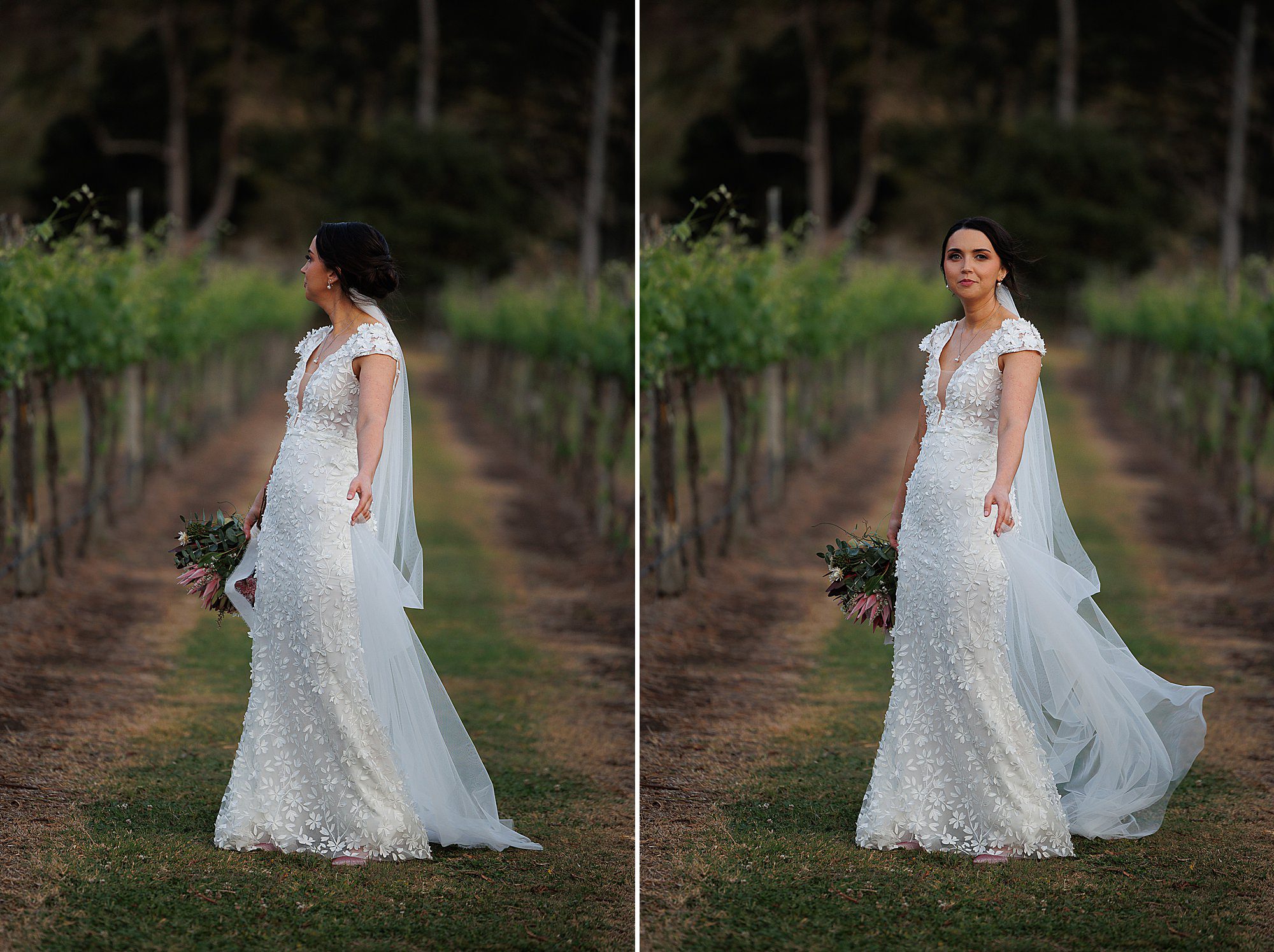 Bride posing in Canungra Valley Vineyard