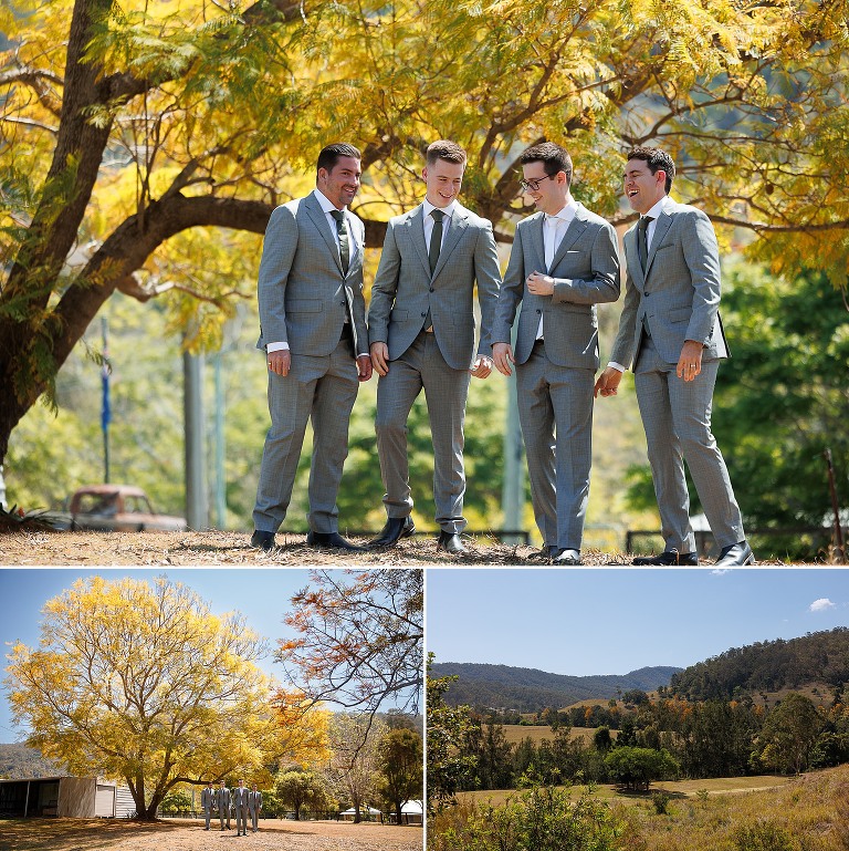 Groomsmen getting ready on a wedding day in Canungra Valley with silky oaks in bloom