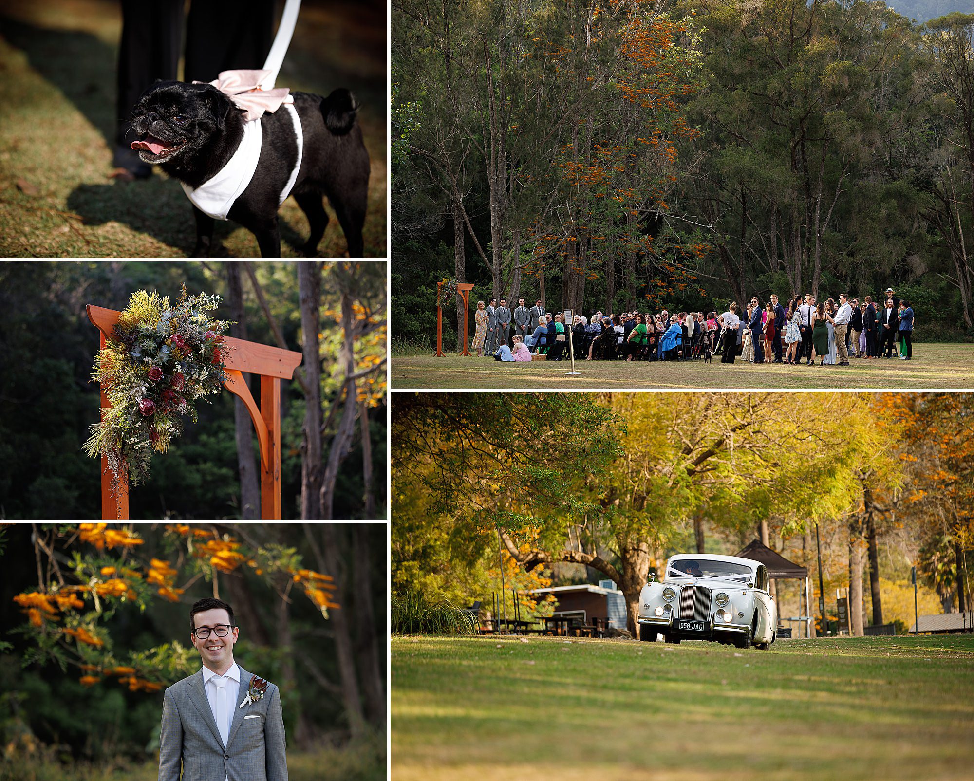 O'reilly's canungra valley vineyeard wedding ceremony