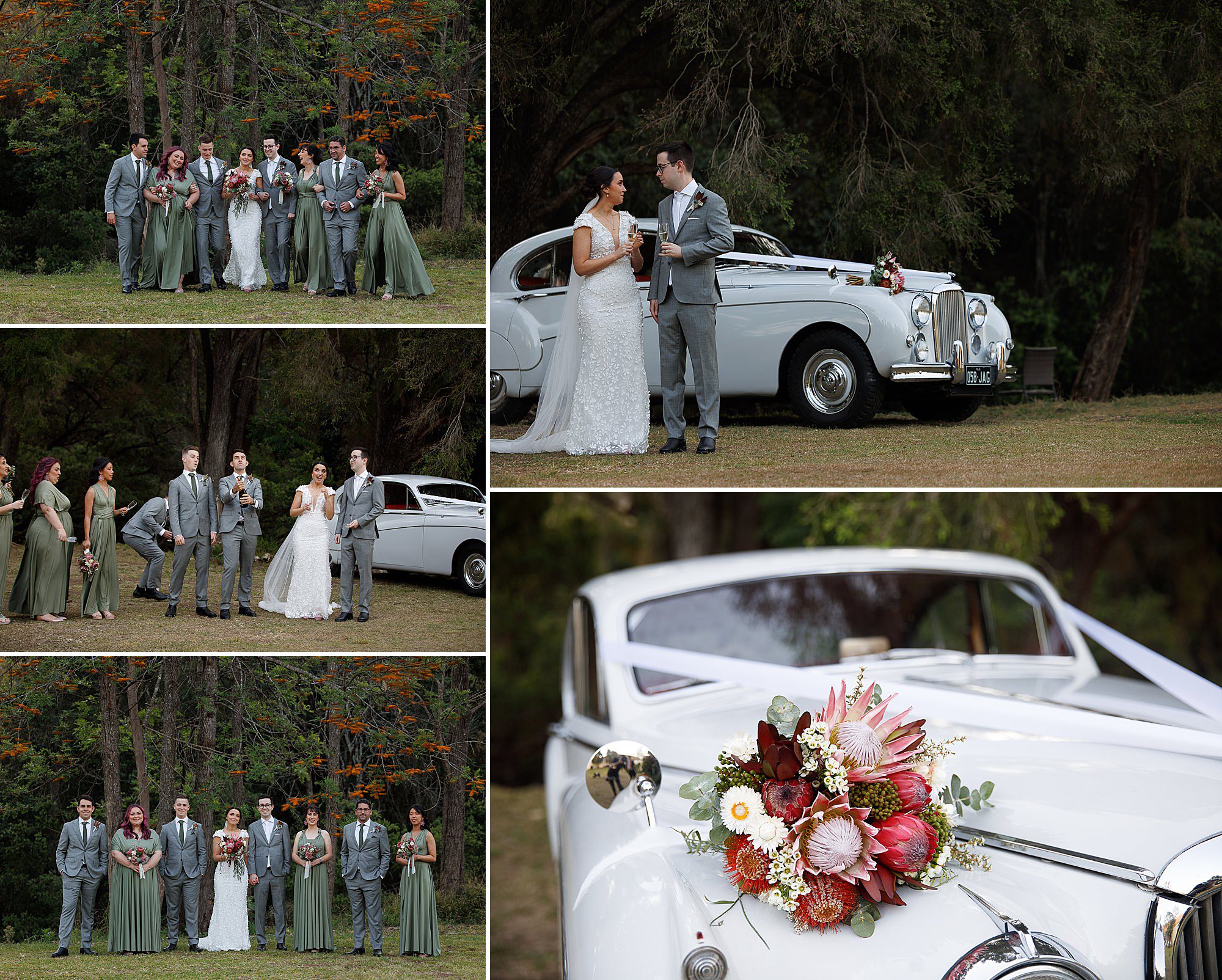 O'reilly's canungra valley vineyard wedding party posing 